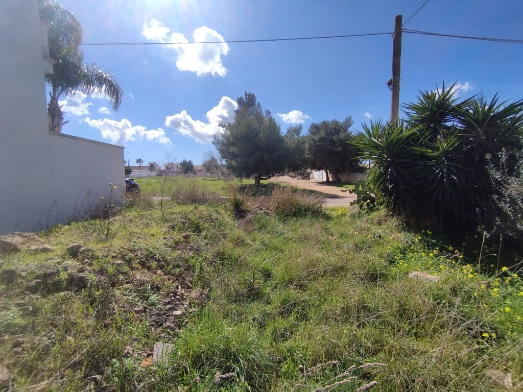 Giano Group Immobiliare